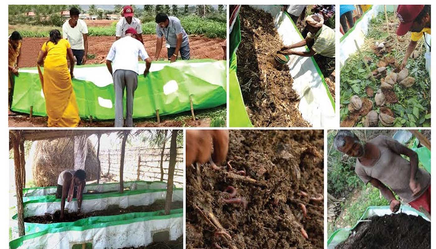 IFOASL – Institute for Organic and Sustainable Living